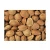 Import Apricot kernel Bulk Quantity High quality cheap rate Wholesale Dealer from USA
