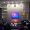 Art Fire Smart Intelligent Ethanol Fireplace with Remote Control