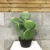 Artificial Ornamental Pear Prickly Plant Fake Cacti Plant Artificial Cactus Pot Plants with High Quality for Wholesale