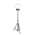 Import Artsonlite Ab023 12 Inch Led  Video Camera  Light  Graphy Dimmable With Stand Tripod from China