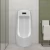 Import automatic portable sensor flush porcelain toilet urine ceramic small ceramic wc urinal for men from China