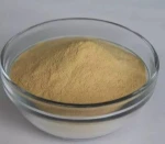 Bakery Active Instant dry yeast/manufacturer