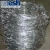 Import Barbed wire/ barbed wire font/ plastic barbed wire from China