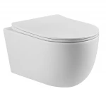 Bathroom wall mounting toilet concealed cistern ceramic washdown wall hung toilet