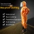 Import Beekeeping Equipment Protective Safety garment aeration-cooling Anti-Bee coverall with triple fan from China