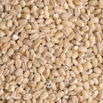 Best Price on barley