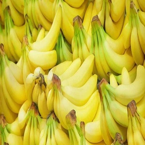 Best quality Fresh Green Banana Specifications.
