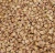 Import Best Quality organic  buckwheat from South Africa
