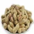 Import Best Quality Traditional Peanuts in Shell from China