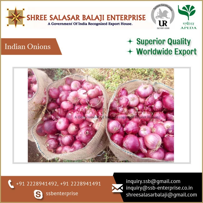 Best Quality Widely Selling Fresh India Onion