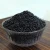 Import Bio fertilizer/Biological Fertilizer/organic fertilizer granular manufacturer price from China