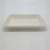 Import Biodegradable Cornstarch Plate Rectangular Meat Serving Tray from China