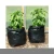 Import biodegradable seedling bags emballage bolsas plasticas ellesse plant grow bags hdpe garden grow bags from China