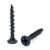 Import Black Self Tapping Screw Phosphated Black High Strength Drywall Screw to Wood from China