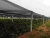 Import Brand new shade material lowes outdoor shades net Malaysia hdpe agricultural shade net with high quality from China