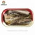 Import Brand OEM with Good Quality Canned Sardine Fish in Oil from China