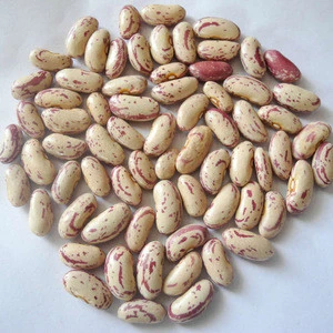 Buy Non-GMO Light Speckled Kidney Bean 2017 Crop Kidney Bean/All kinds of Non-Gmo beans pulses and grains/