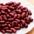 Import Canned kidney beans with best price for sale from China