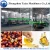 Import castor oil refinery plant peanut oil refined equipment palm oil processing machine from China
