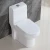 Import Ceramic washdown toilet ceramic toilet wholesale ceramic wash down one piece toilet from China