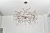 Chandelier Lighting Luxury Light & Pendant Lights Hanging Chandelier-lamp Crystal Chandeliers For Foyers