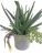 Import cheap artificial plants with potted from China