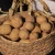 Import cheap Chinese bulk walnuts in shell for sale from China