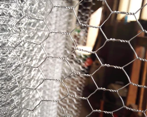 chicken coop galvanized or pvc coated hexagonal wire mesh netting