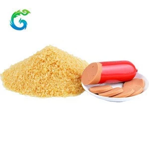China food ingredients/hot selling health food grade gelatin