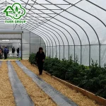 China manufacture tunnel double layer plastic greenhouse for roses seeding