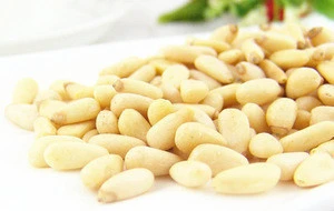 chine italian wholesal cheap bulk pine nut without shell