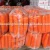 Import Chinese Carrot from China