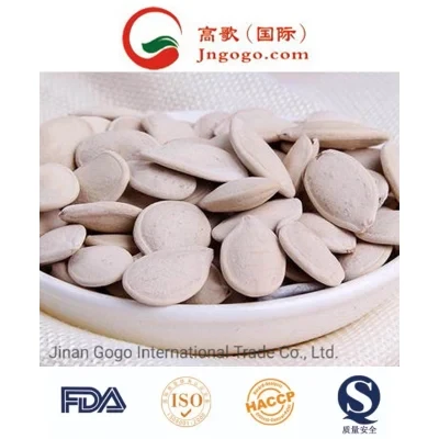 Chinese New Crop Pumpkin Seeds for Exporting
