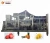 Import Citrus Fruit Juicer Extractor, Self Service Carrot Orange Juice Extractor Machine from China