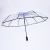 Import Clear Transparent Folding Auto Open Close Umbrella POE PVC automatic travel umbrella from China