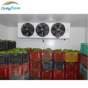 Cold Storage Equipment to Store Fruit, PU Panel Cold Room