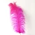 Import Colorfully ostrich hairs Different size Natural Feathers ostrich feather from China