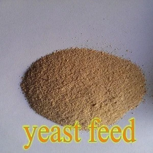 Corn Grain, Wheat Bran, DDGS Make Yeast 55% For Animal Feed