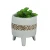 Import Custom ceramic garden flower pot planter for wholesale from China