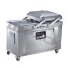 Custom Electrical Requirement DZ-500-2S Household Food Vacuum Sealer Packaging Machine