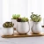 Import Customized modern ceramic succulent planter flower pot with bamboo tray from China