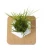 Import Decorative Indoor Garden Plastic Flower Magnetic Levitating Bonsai Plants from China