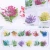 Import Designs Art Decorations Flower Dried Flowers Dry for Nails Pressed Wholesale Nail Supplies from China