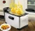 Import Electric fryer household mini 2.5L small commercial home deep fryer stainless steel fast heating provincial fried chicken wings from China