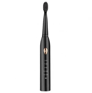 Electric Sonic Rechargeable Toothbrush Waterproof Black Tooth Brush