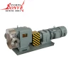 Electric vacuum rotary vane pump