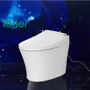 Electric Western Standard CE Certified Automatic Toilet Wc