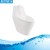 Import European style toilet guangzhou manufacture import toilet from China