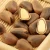Import Export of high quality certified pine nuts in shell from China