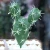 Import Factory Directly Ornamental Cactus And Succulents Artificial Unpotted Cactus Plants from China